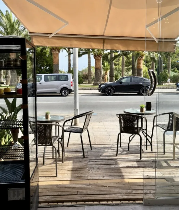 Terraza bajo el toldo con vistas a las palmeras del parque